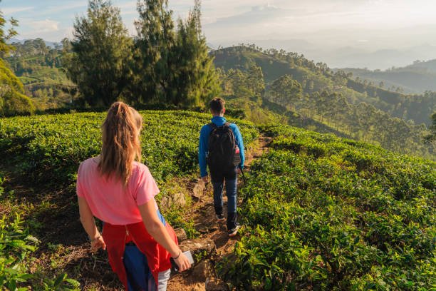 Trekking in Ella Hill Country